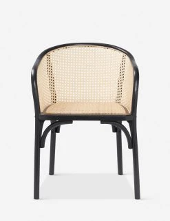 Lulu And Georgia Summer Dining Chair Earth Tones