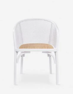 Lulu And Georgia Summer Dining Chair Earth Tones