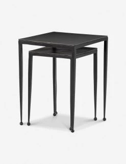 Lulu And Georgia Furniture Soares Nesting Side Tables (Set Of 2)