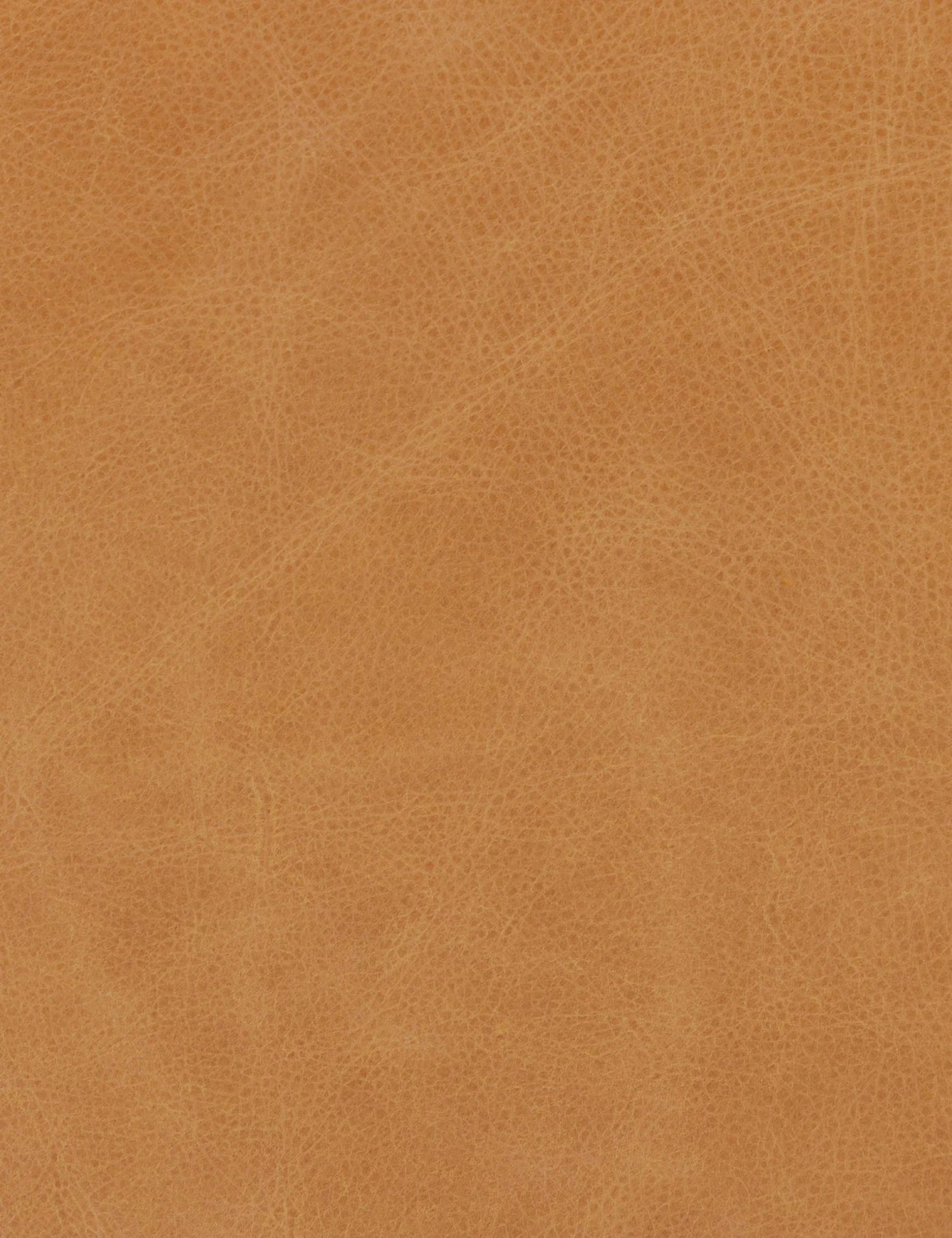 Lulu And Georgia Curved + Rounded Aldora Stool 24 Lulu And Georgia Curved + Rounded Aldora Stool