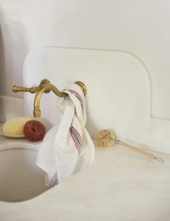 Lulu And Georgia Organizing + Cleaning Tradition Dish Kit By Andrée Jardin 7 Lulu And Georgia Organizing + Cleaning Tradition Dish Kit By Andrée Jardin