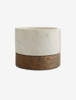 Lulu And Georgia Leo Centerpiece By Arteriors New