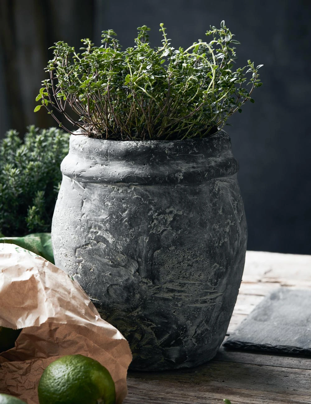 Lulu And Georgia Roni Planter New 3 Lulu And Georgia Roni Planter New