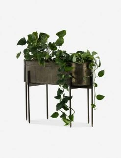 Lulu And Georgia New Francine Large Planter