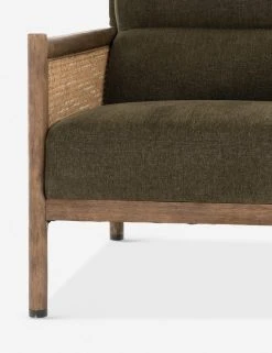 Lulu And Georgia Earth Tones Olivier Accent Chair
