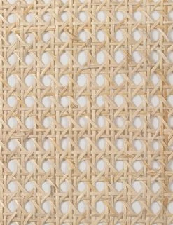 Lulu And Georgia Lighting Levan Floor Lamp