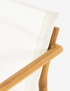 Lulu And Georgia Charise Indoor / Outdoor Accent Chair 16 Lulu And Georgia Charise Indoor / Outdoor Accent Chair