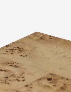 Lulu And Georgia Lorca Burl Wood Side Table 19 Lulu And Georgia Lorca Burl Wood Side Table