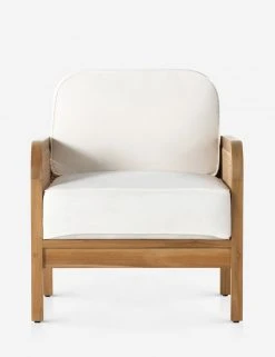 Lulu And Georgia Anson Indoor / Outdoor Accent Chair