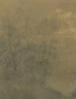 Lulu And Georgia 'Expanse' Wall Art By Aileen Fitzgerald Walls 9 Lulu And Georgia 'Expanse' Wall Art By Aileen Fitzgerald Walls