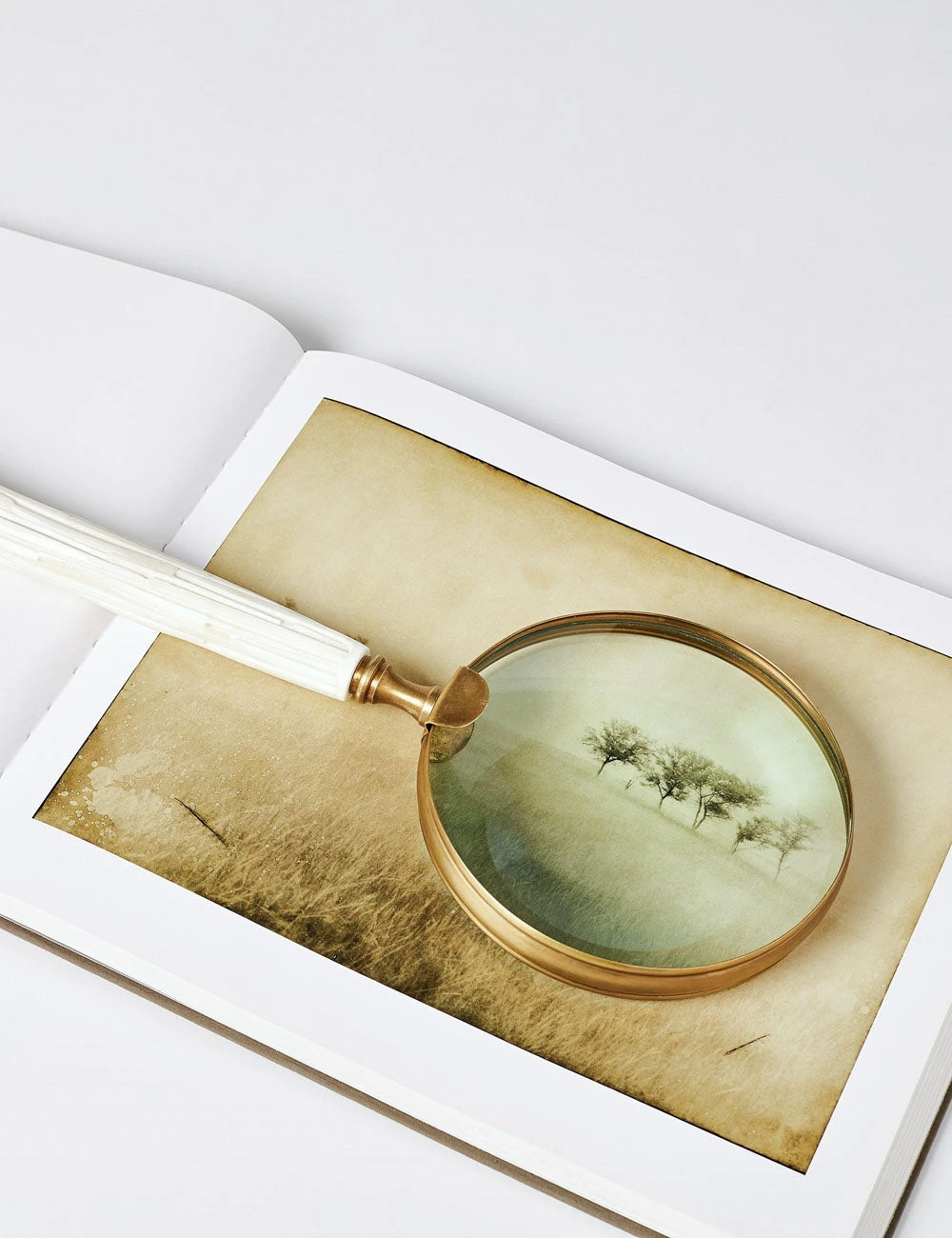 Lulu And Georgia Hartnett Magnifying Glass Object 5 Lulu And Georgia Hartnett Magnifying Glass Object