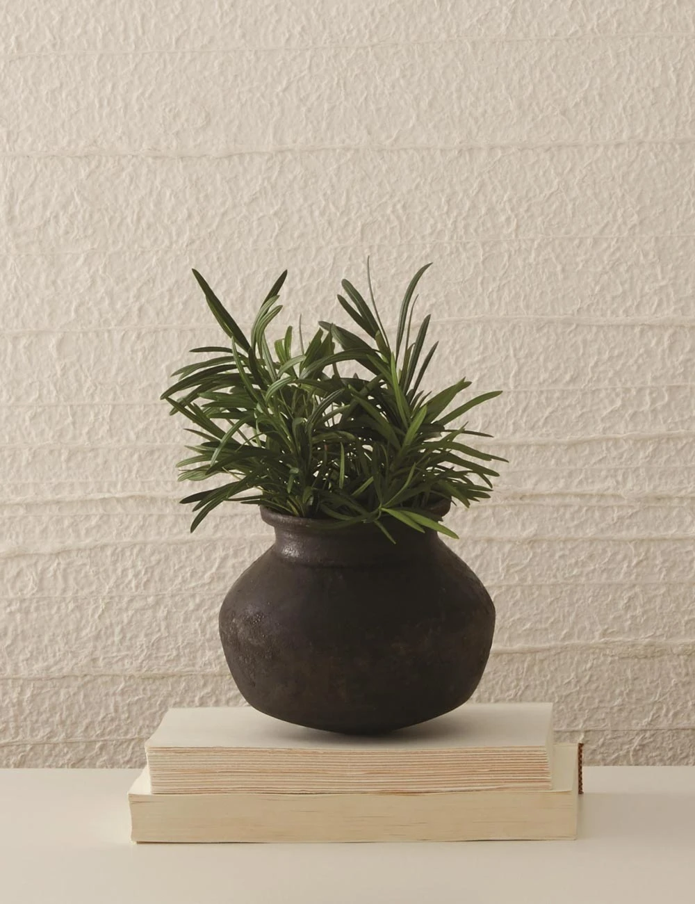 Lulu And Georgia Benji Pot Spring Collection 3 Lulu And Georgia Benji Pot Spring Collection