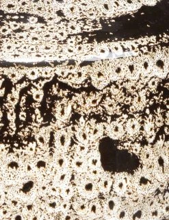 Lulu And Georgia Phillipe Vase New