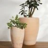 Lulu And Georgia Abrielle Planter (Set Of 2) By Campania International 1 Lulu And Georgia Abrielle Planter (Set Of 2) By Campania International