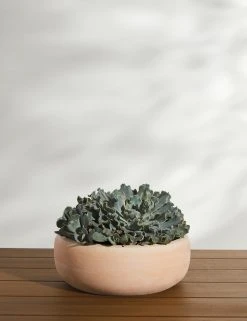 Lulu And Georgia New Annalise Planter (Set Of 2) By Campania International 9 Lulu And Georgia New Annalise Planter (Set Of 2) By Campania International