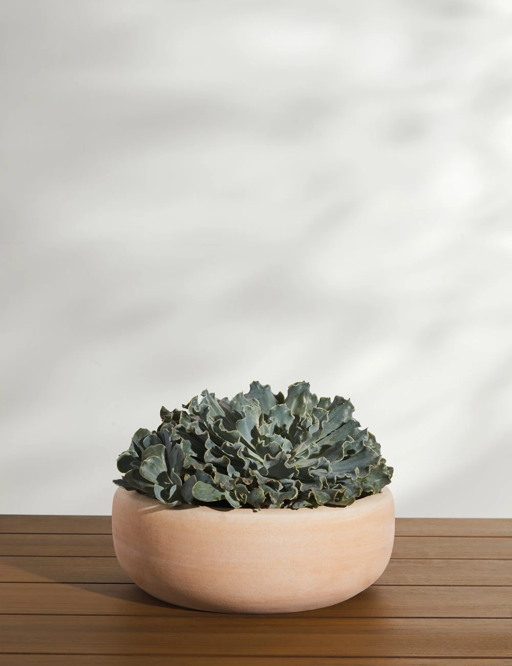 Lulu And Georgia New Annalise Planter (Set Of 2) By Campania International 4 Lulu And Georgia New Annalise Planter (Set Of 2) By Campania International