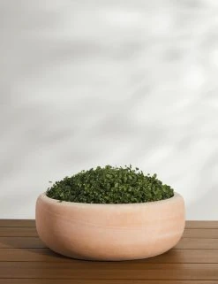 Lulu And Georgia New Annalise Planter (Set Of 2) By Campania International 10 Lulu And Georgia New Annalise Planter (Set Of 2) By Campania International