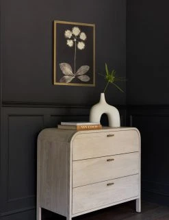 Lulu And Georgia 'Botanical Photogram' Print Walls