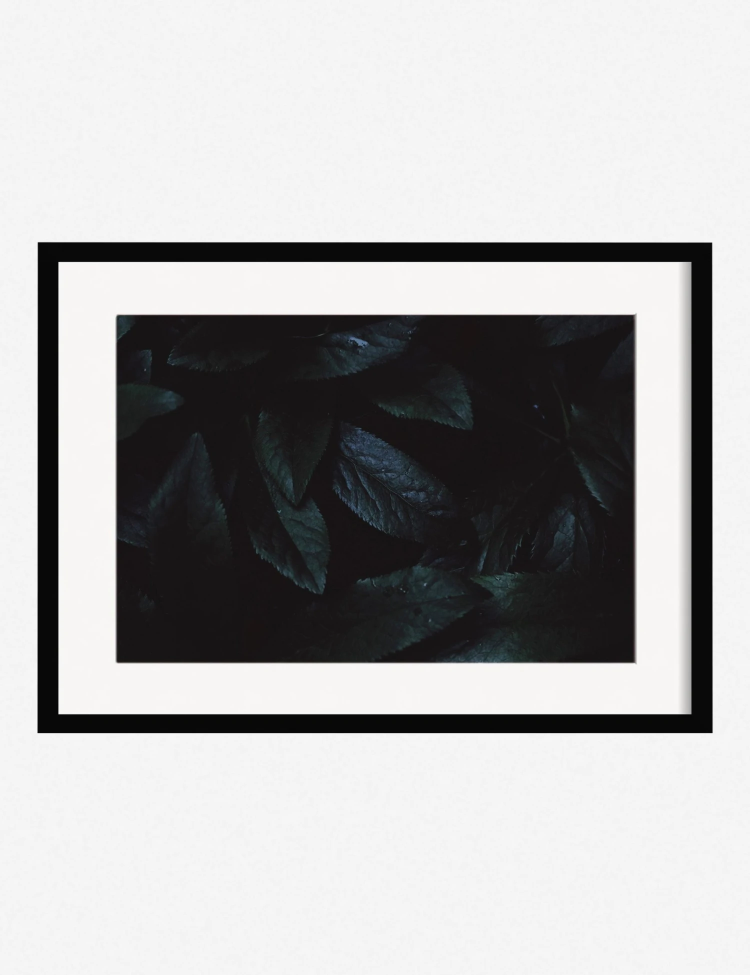 Lulu And Georgia Walls 'Still Life 3' Photography Print By Ashley Johnson 3 Lulu And Georgia Walls 'Still Life 3' Photography Print By Ashley Johnson