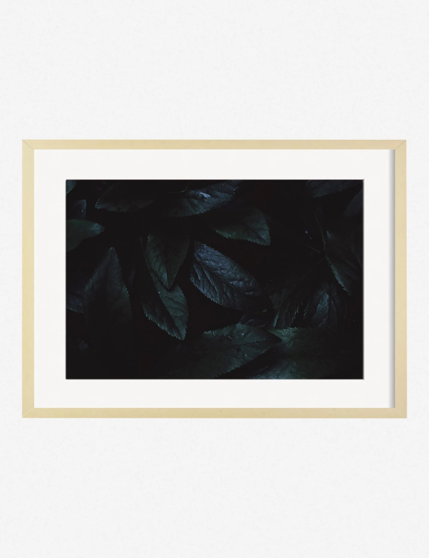 Lulu And Georgia Walls 'Still Life 3' Photography Print By Ashley Johnson 5 Lulu And Georgia Walls 'Still Life 3' Photography Print By Ashley Johnson