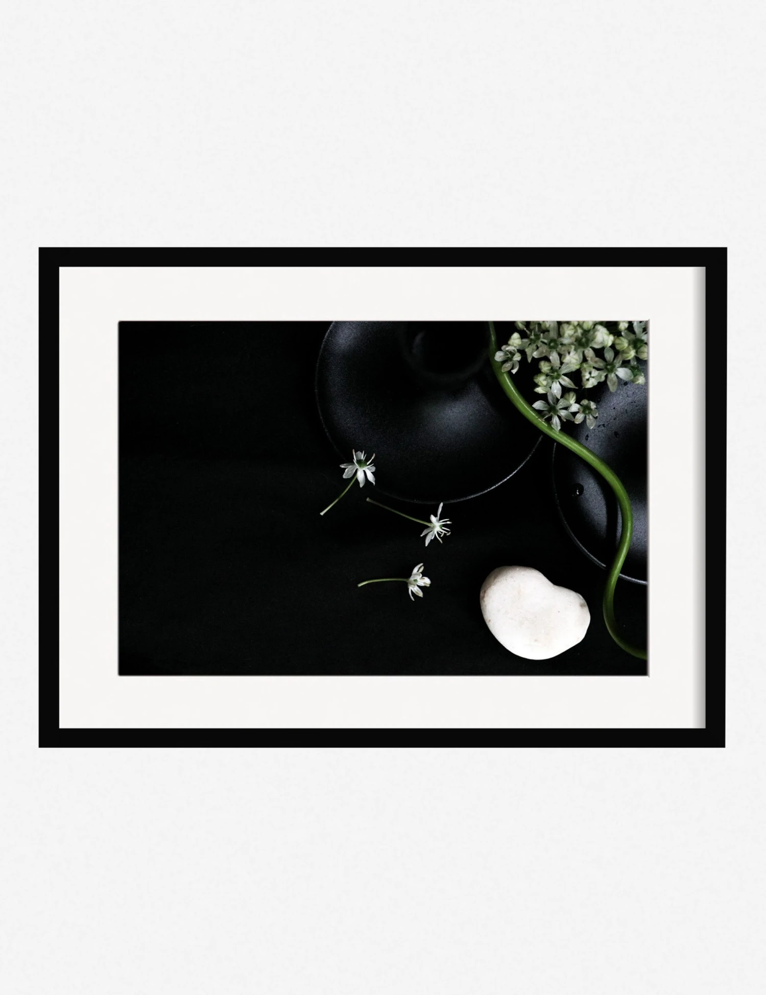 Lulu And Georgia 'Still Life 5' Photography Print By Ashley Johnson 3 Lulu And Georgia 'Still Life 5' Photography Print By Ashley Johnson