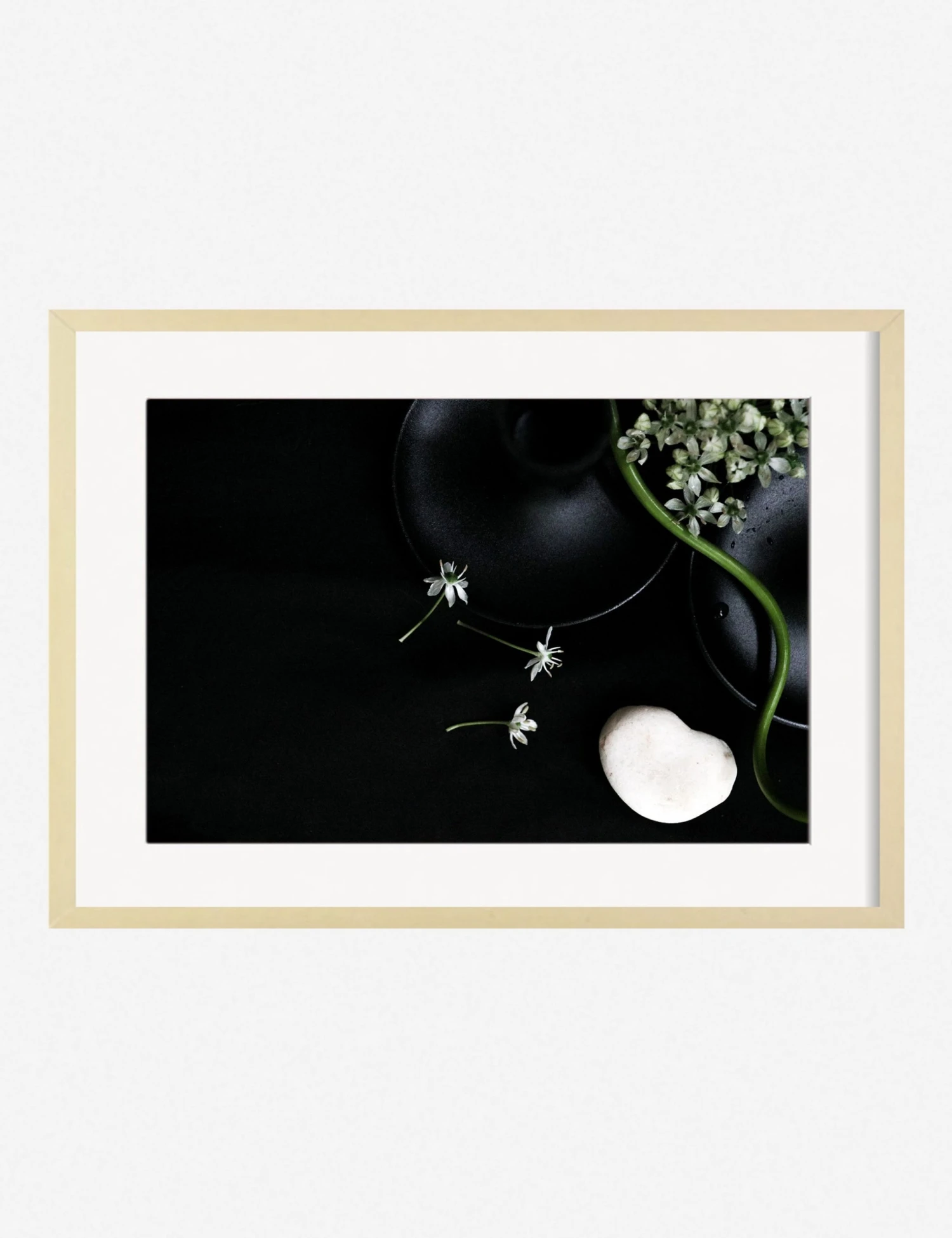 Lulu And Georgia 'Still Life 5' Photography Print By Ashley Johnson 5 Lulu And Georgia 'Still Life 5' Photography Print By Ashley Johnson