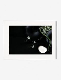 Lulu And Georgia 'Still Life 5' Photography Print By Ashley Johnson 13 Lulu And Georgia 'Still Life 5' Photography Print By Ashley Johnson