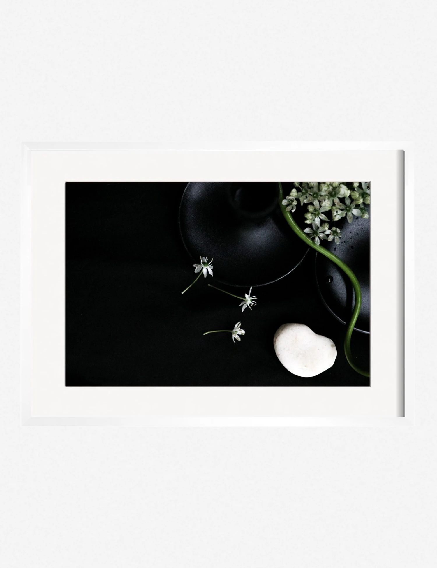 Lulu And Georgia 'Still Life 5' Photography Print By Ashley Johnson 7 Lulu And Georgia 'Still Life 5' Photography Print By Ashley Johnson