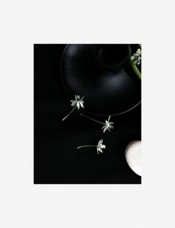 Lulu And Georgia 'Still Life 5' Photography Print By Ashley Johnson 14 Lulu And Georgia 'Still Life 5' Photography Print By Ashley Johnson