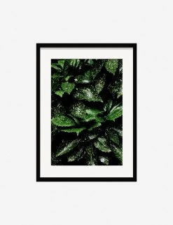 Lulu And Georgia Mossy Greens 'Still Life 7' Photography Print By Ashley Johnson