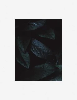 Lulu And Georgia Walls 'Still Life 3' Photography Print By Ashley Johnson 14 Lulu And Georgia Walls 'Still Life 3' Photography Print By Ashley Johnson