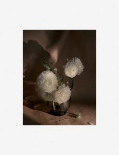 Lulu And Georgia Earth Tones 'Still Life 21' Photography Print By Ashley Johnson 14 Lulu And Georgia Earth Tones 'Still Life 21' Photography Print By Ashley Johnson