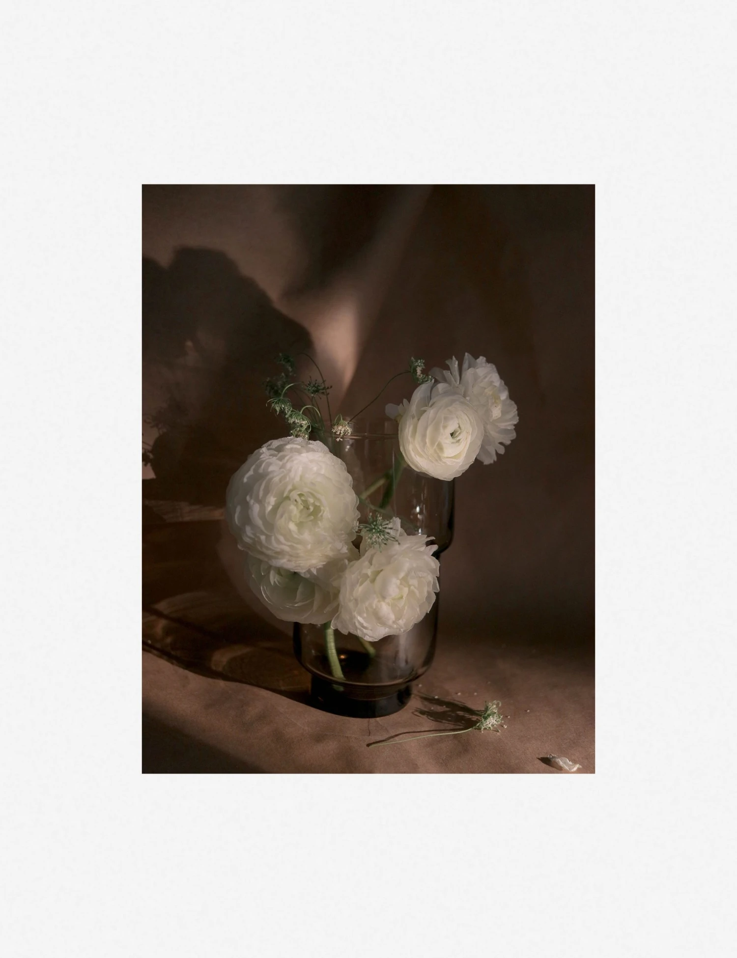 Lulu And Georgia Earth Tones 'Still Life 21' Photography Print By Ashley Johnson 8 Lulu And Georgia Earth Tones 'Still Life 21' Photography Print By Ashley Johnson