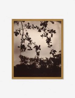 Lulu And Georgia Earth Tones 'Branche De Pommier' Print By Eugène Atget