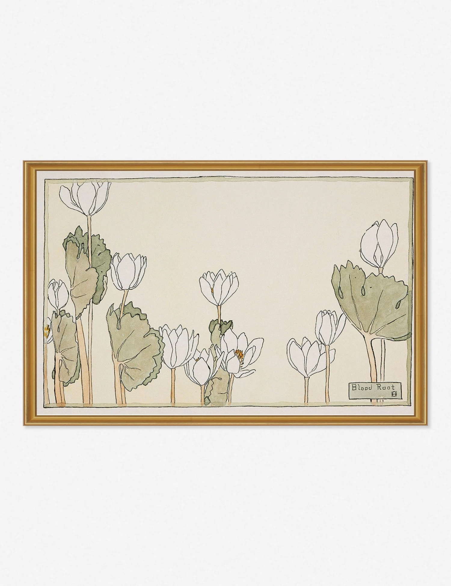 Lulu And Georgia 'Blood Root' Print By Hannah Borger Overbeck Walls 3 Lulu And Georgia 'Blood Root' Print By Hannah Borger Overbeck Walls