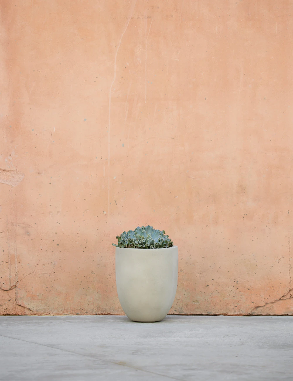 Lulu And Georgia Bradford Planter By Campania International New 7 Lulu And Georgia Bradford Planter By Campania International New