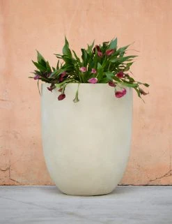 Lulu And Georgia Bradford Planter By Campania International New