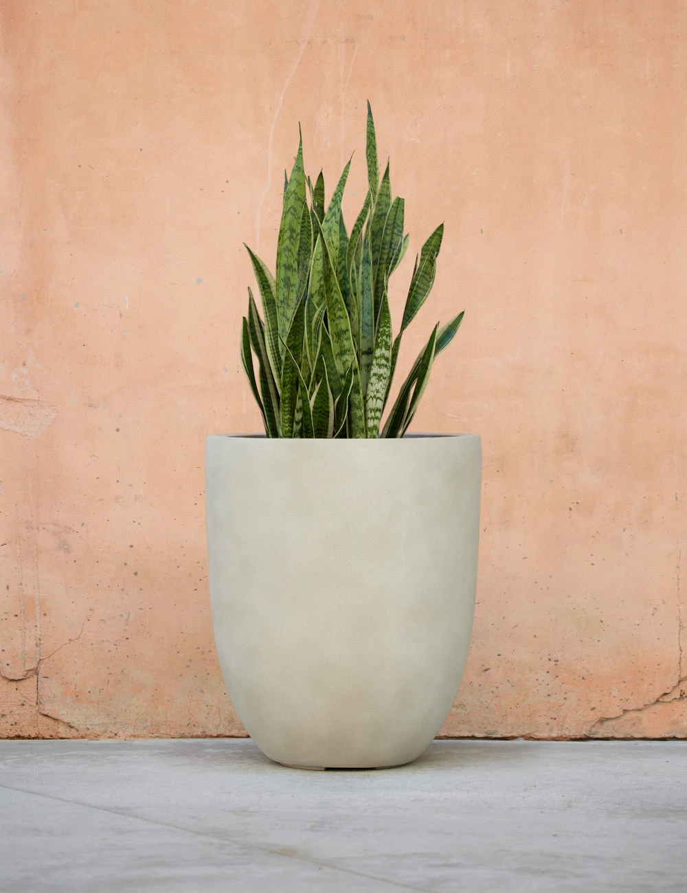 Lulu And Georgia Bradford Planter By Campania International New 5 Lulu And Georgia Bradford Planter By Campania International New