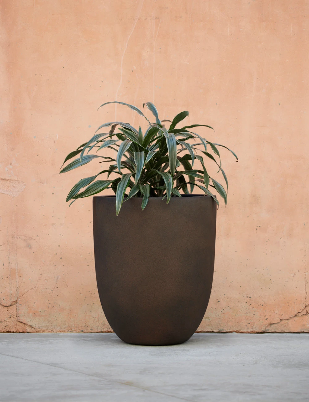 Lulu And Georgia Bradford Planter By Campania International New 14 Lulu And Georgia Bradford Planter By Campania International New