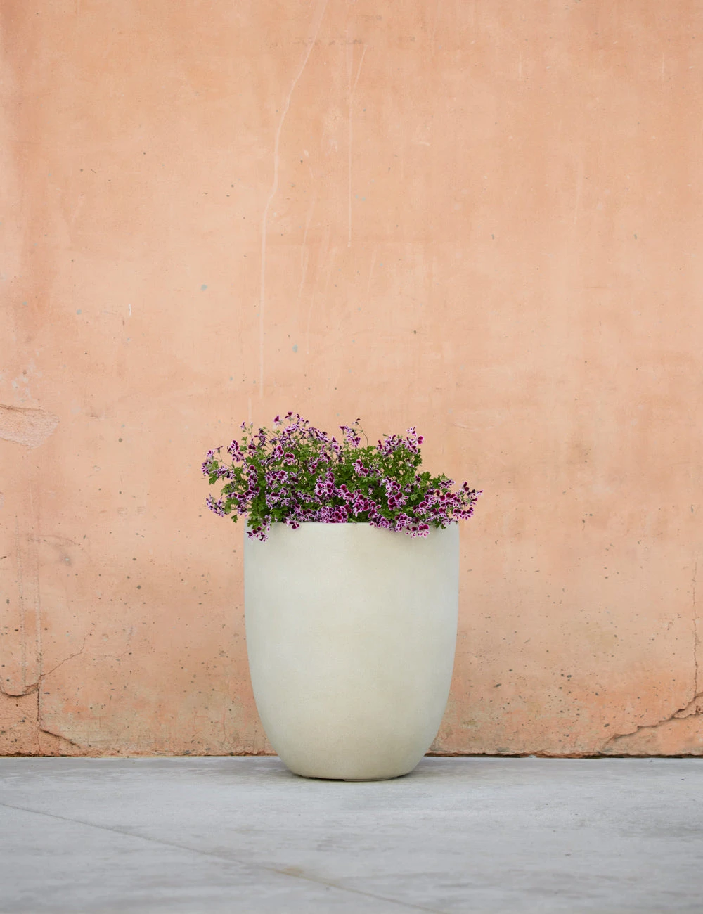 Lulu And Georgia Bradford Planter By Campania International New 6 Lulu And Georgia Bradford Planter By Campania International New