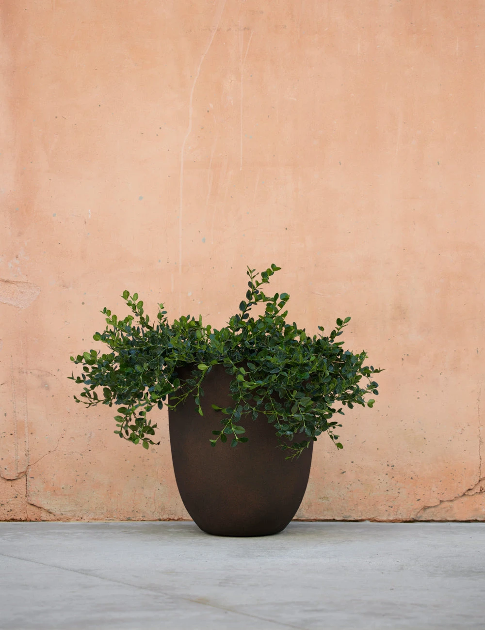 Lulu And Georgia Bradford Planter By Campania International New 15 Lulu And Georgia Bradford Planter By Campania International New