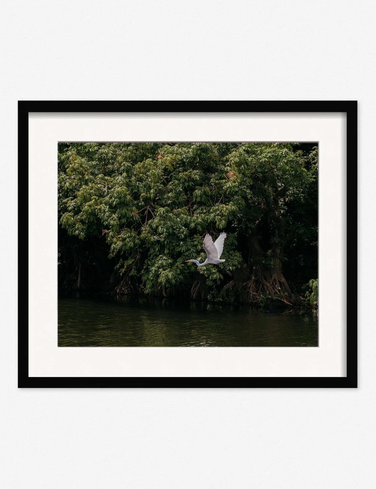 Lulu And Georgia Mossy Greens 'Lake Nicaragua' Photography Print By Carley Rudd 3 Lulu And Georgia Mossy Greens 'Lake Nicaragua' Photography Print By Carley Rudd