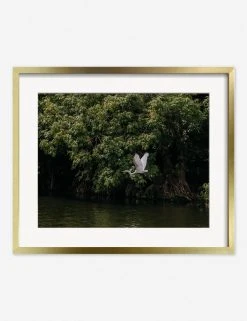 Lulu And Georgia Mossy Greens 'Lake Nicaragua' Photography Print By Carley Rudd 14 Lulu And Georgia Mossy Greens 'Lake Nicaragua' Photography Print By Carley Rudd