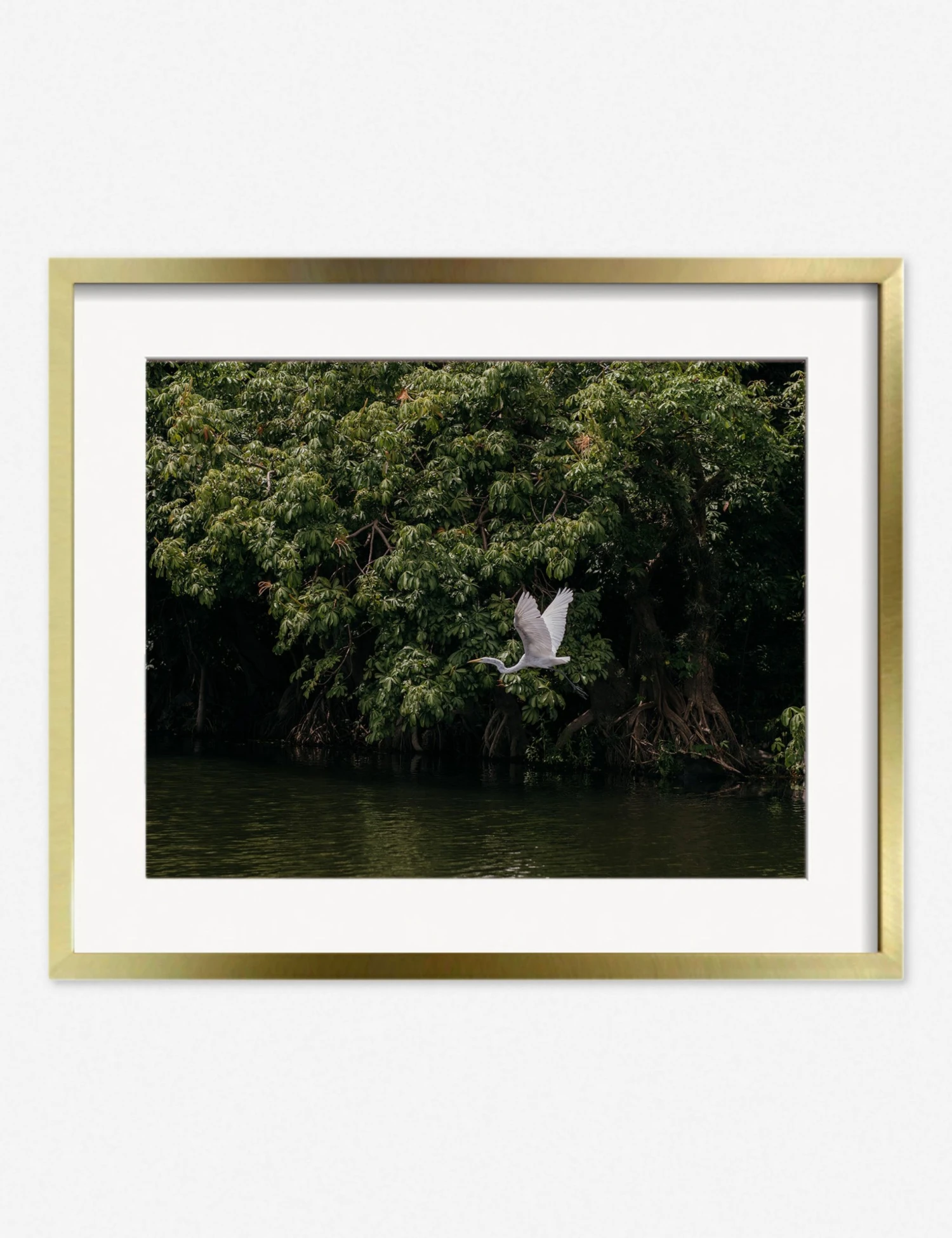 Lulu And Georgia Mossy Greens 'Lake Nicaragua' Photography Print By Carley Rudd 8 Lulu And Georgia Mossy Greens 'Lake Nicaragua' Photography Print By Carley Rudd