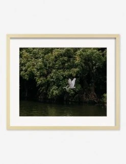 Lulu And Georgia Mossy Greens 'Lake Nicaragua' Photography Print By Carley Rudd 15 Lulu And Georgia Mossy Greens 'Lake Nicaragua' Photography Print By Carley Rudd