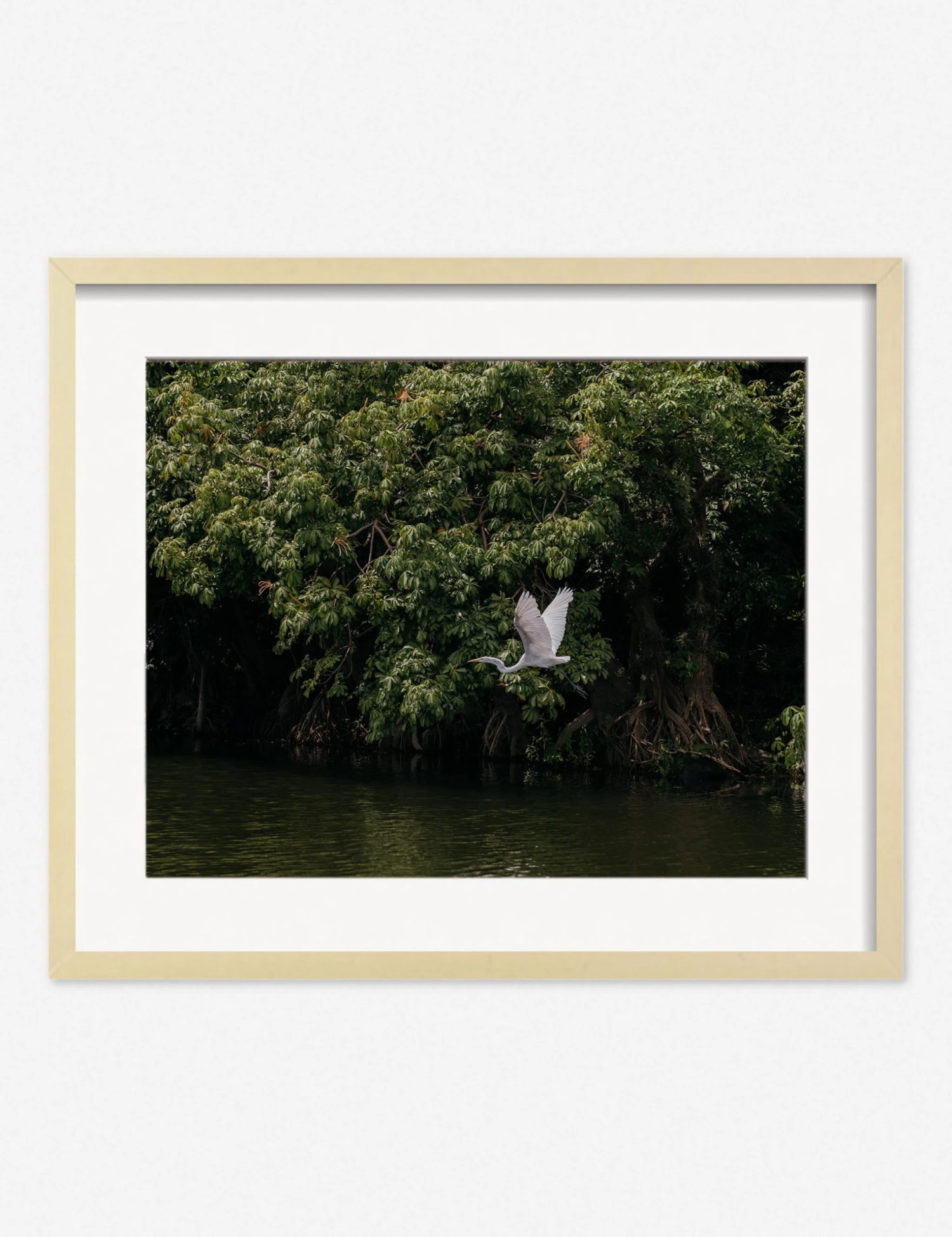 Lulu And Georgia Mossy Greens 'Lake Nicaragua' Photography Print By Carley Rudd 9 Lulu And Georgia Mossy Greens 'Lake Nicaragua' Photography Print By Carley Rudd