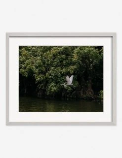 Lulu And Georgia Mossy Greens 'Lake Nicaragua' Photography Print By Carley Rudd 11 Lulu And Georgia Mossy Greens 'Lake Nicaragua' Photography Print By Carley Rudd