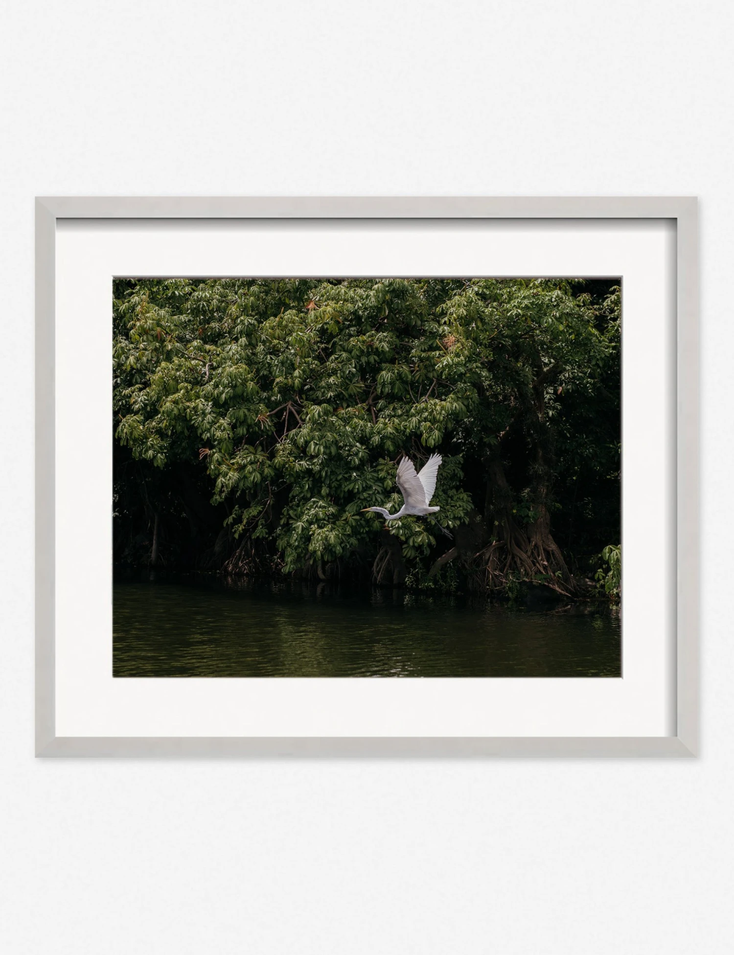 Lulu And Georgia Mossy Greens 'Lake Nicaragua' Photography Print By Carley Rudd 5 Lulu And Georgia Mossy Greens 'Lake Nicaragua' Photography Print By Carley Rudd