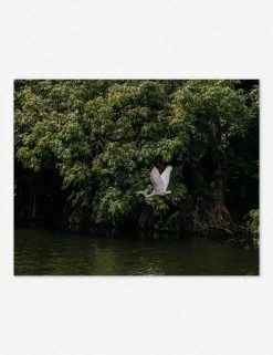 Lulu And Georgia Mossy Greens 'Lake Nicaragua' Photography Print By Carley Rudd