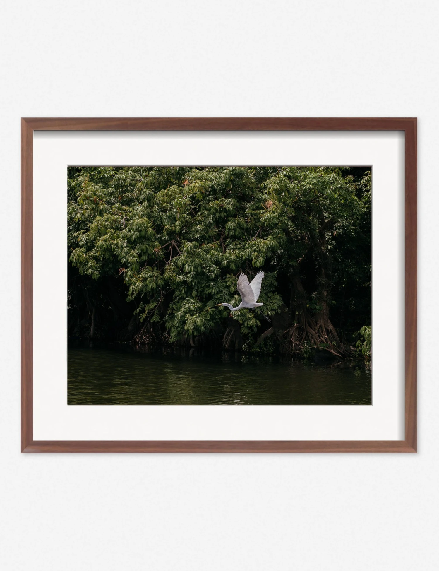 Lulu And Georgia Mossy Greens 'Lake Nicaragua' Photography Print By Carley Rudd 6 Lulu And Georgia Mossy Greens 'Lake Nicaragua' Photography Print By Carley Rudd
